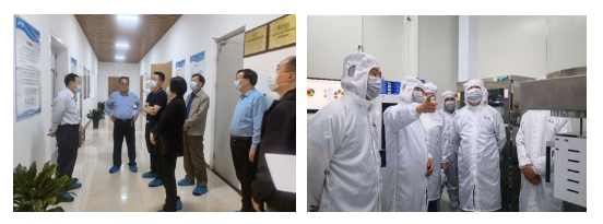 Beijing Office for Promoting the Construction of International Science and Technology Innovation Center conducts research and inspection on SinoGaN